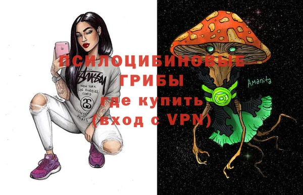 apvp Корсаков
