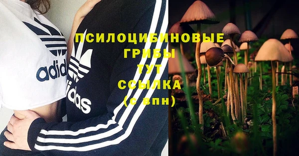 Альфа ПВП Коряжма