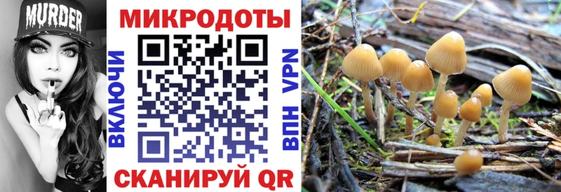 Купить  Губкин  Псилоцибиновые грибы мицелий 